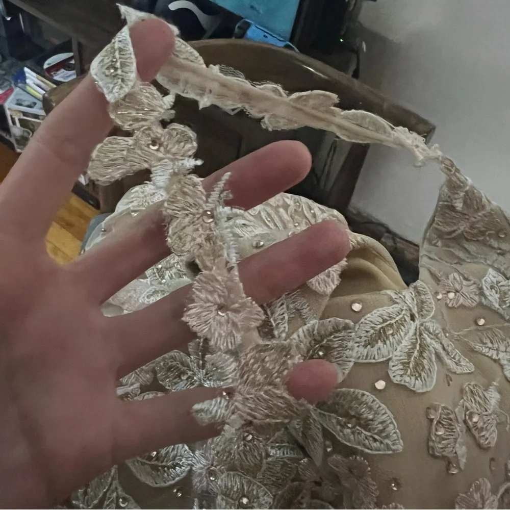 Mac Duggal Cream Floral Lace 12 Beige Embroidered Tulle Trumpet Gown Nude - Picture 11 of 13